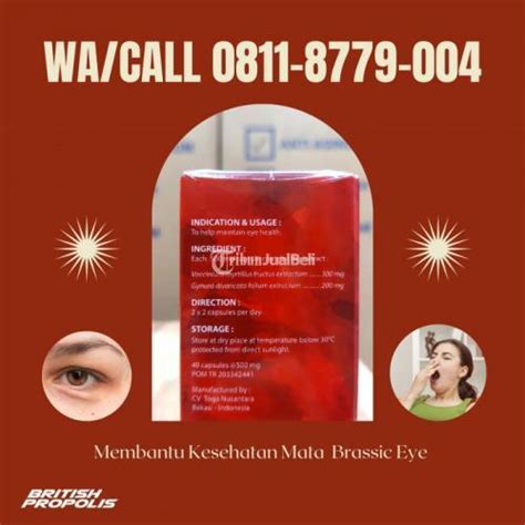 Membantu Mata Lelah Brassic Eye Serum Anti Penuaan Dini Di Kotabaru