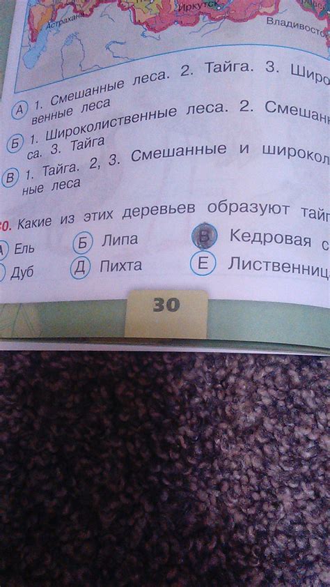 какие из этих деревьев образуют тайгу. кедровка, лиственница, липа ...