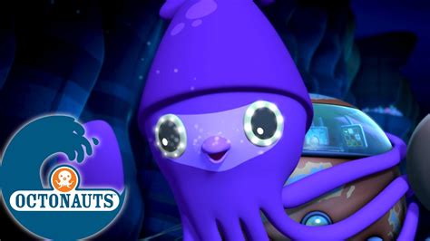 Octonauts Le Calamar G Ant Dessins Anim S Pour Enfants Youtube