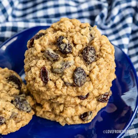 Quaker Vanishing Oatmeal Raisin Cookie Recipe Dandk Organizer