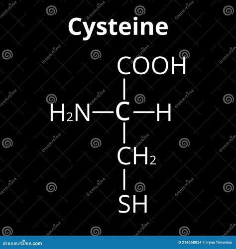 Cysteine Chemical Formula Cysteine Structural Chemical Formula