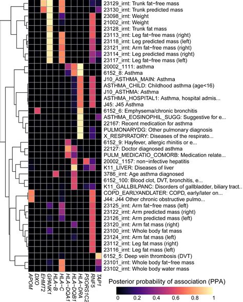 Systematic Genetic Analysis Of The Mhc Region Reveals Mechanistic