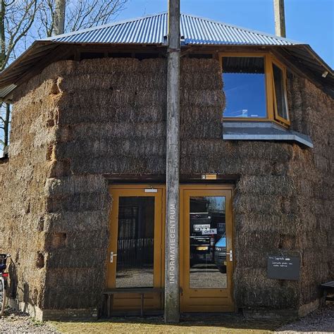 Verschillende Koeien In Midden Delfland Puuur Midden Delfland