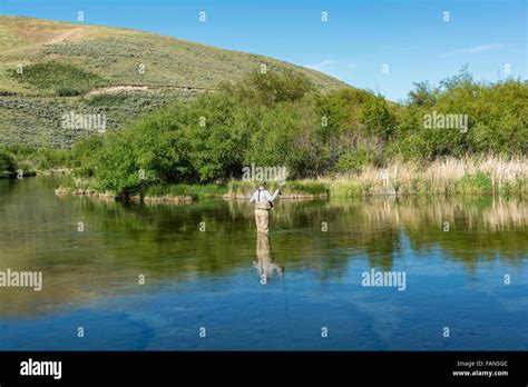 Idaho Bellevue Silver Creek Preserve Fly Fisherman Trout Fishing