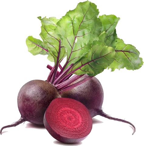 Radish Png Images 100