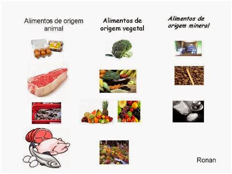 A Origem Dos Alimentos Braincp