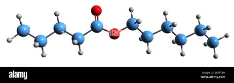 D Image Of Hexyl Pentanoate Skeletal Formula Molecular Chemical