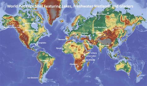 Wetlands Biome Map