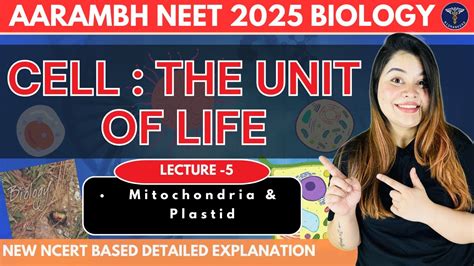 Cell The Unit Of Life I Mitochondria And Plastid Class 11 Biology