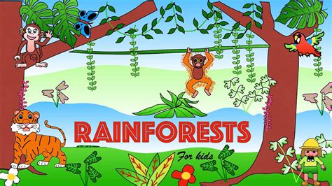 Facts About The Amazon Rainforest For Kids, 58% OFF | rbk.bm