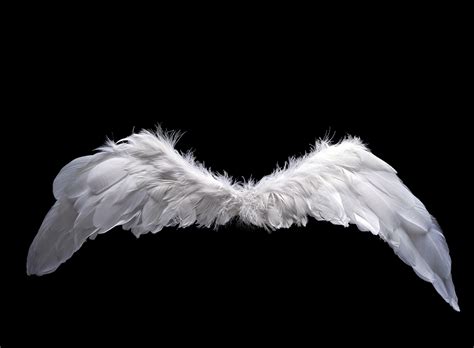 angel wings