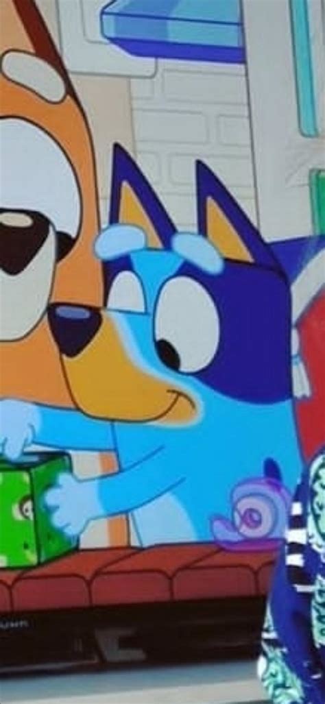 does anyone know what episode this is? bluey and chilli wrapping a ...