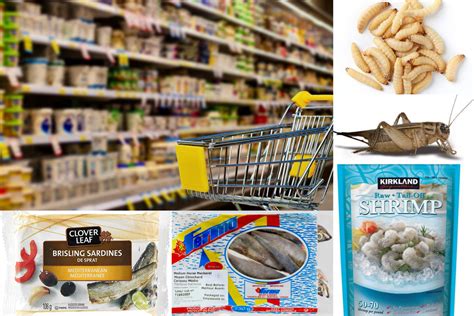 find awesome fishing baits  grocery stores  pet supply
