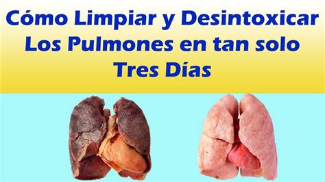 Como Limpiar Los Pulmones En Tan Solo 3 Dias Remedios Caseros Para