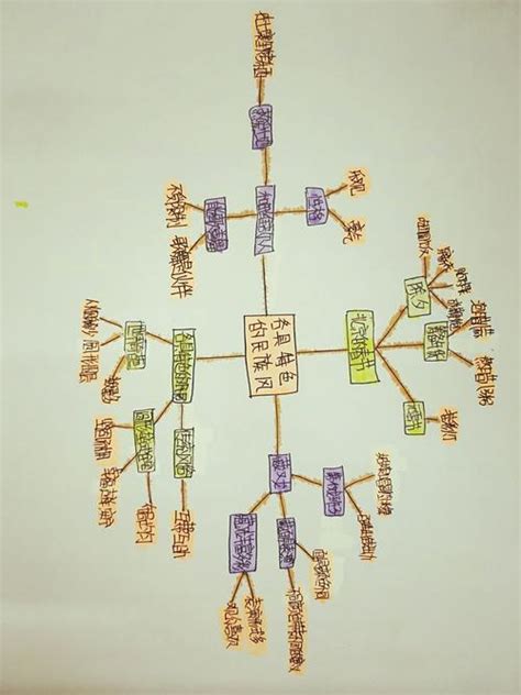 家乡的风俗思维导图 家乡的风俗思维导图六年级 图片 网专笔记