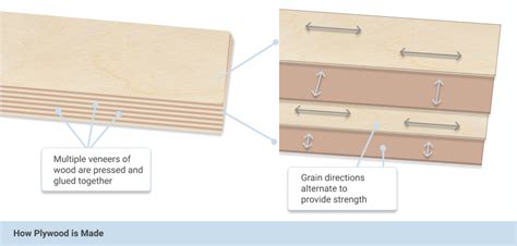 Types Of Plywood Plywood Guide Plywood Buying Guide Builder Depot