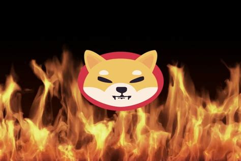 SHIB Burn: Over 209 Million Shiba Inu Tokens Destroyed in the Past 24 ...