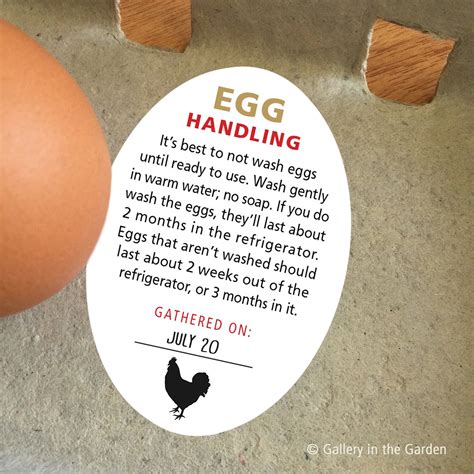 Egg Safe Handling Instructions