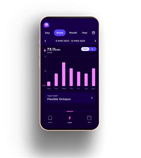 The Best Ways To Track Your Energy Consumption And Spending Octopus