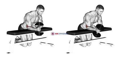 Dumbbell Over Bench One Arm Neutral Wrist Curl Home Gym Review