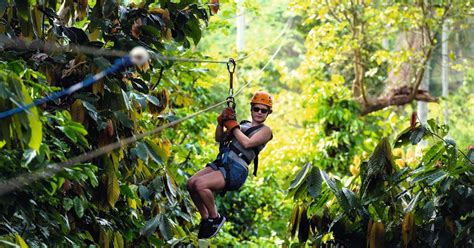 Zipline Adventure | musement