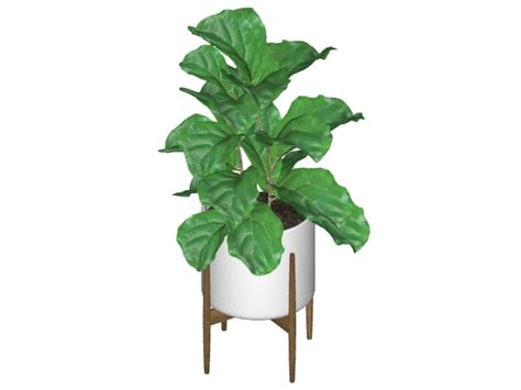 Textured indoor decorative plants in SKP | CAD (6.31 MB) | Bibliocad