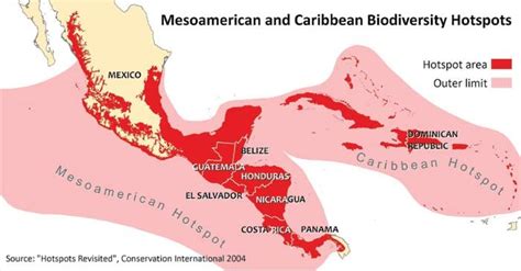 Biodiversity Hotspots As Defined By Conservation International 2004 Download Scientific Diagram