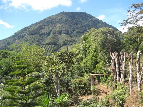 Los Naranjos Un Lugar Para Conectarte Con La Naturaleza En El Salvador