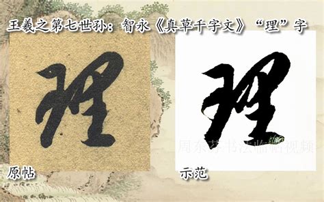 【每日一字】书法视频，周东芬临隋智永《真草千字文》“祗”字 Bilibili B站 无水印视频解析——yiuios易柚斯