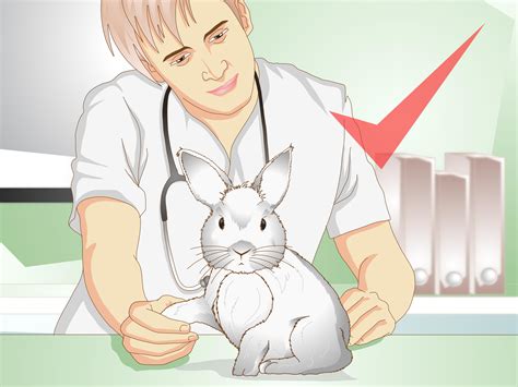 How to Care for a Rabbit with GI Stasis: 15 Steps (with Pictures)