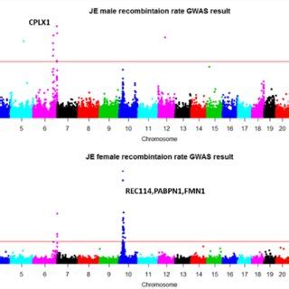 Manhattan Plot Of The Gwas Of Genome Wide Recombination Rates For