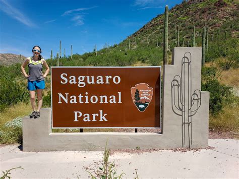 The Complete Guide To Saguaro National Park Amateur Adventure Journal