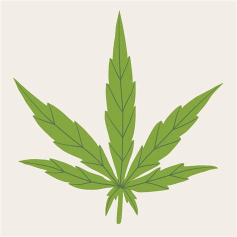 simplicity cannabis leaf freehand drawing. 10536512 Vector Art at Vecteezy