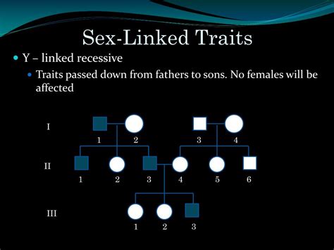 Ppt Pedigrees And Human Inheritance Powerpoint Presentation Free