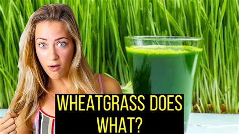 All About Wheatgrass Top 5 Health Benefits Of Wheatgrass Youtube