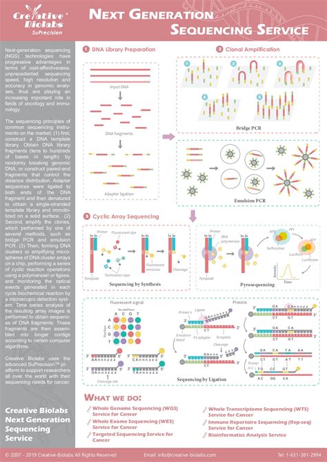 NGS Technology - Shaw Vivian - Page 1 - 1 | Flip PDF Online | PubHTML5