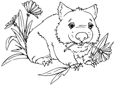 Normal Wombat Coloring Page - Free Printable Coloring Pages for Kids