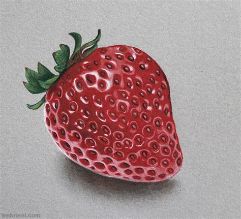 Color Pencil Drawing Fruit 17