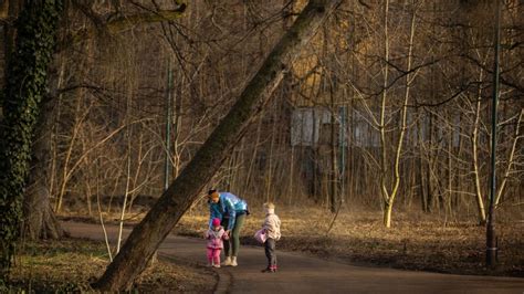 Jest kolejne zamówienie polskiej armii na karabinki Grot z Radomskiego