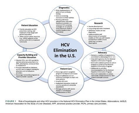 The national hepatitis C elimination program-AASLD's coalition and call ... 