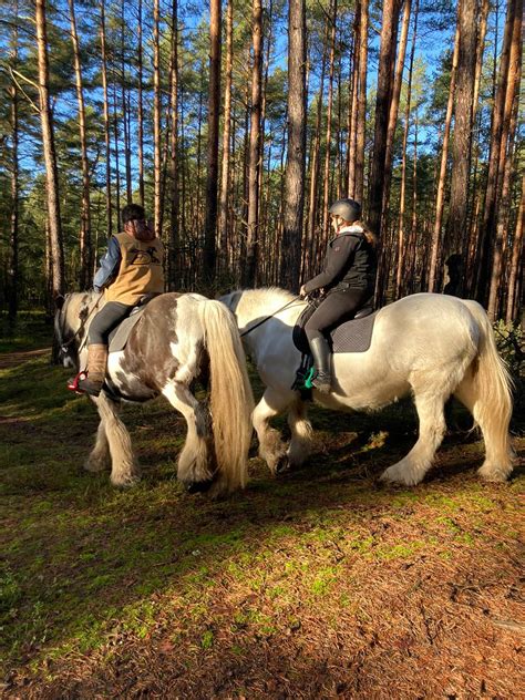 IMG 20221229 WA0007 Cowgirl Babe Flickr
