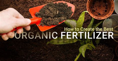 How To Make The Best Natural Fertilizer 7 Organic Fertilizers For Plants