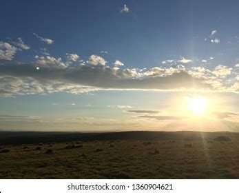 African Safari Sunset Stock Photo 1360904621 | Shutterstock