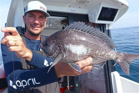 Facile Da Pescare Allestimento Per La Pesca All Orata Con Il Palangaro