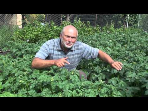 Дачникам и садоводам