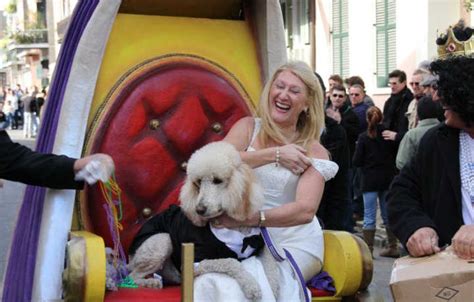 Krewe of Barkus Parade | New Orleans Local Mardi Gras Parades