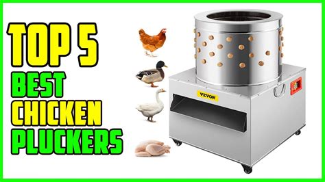 TOP 5 Best Chicken Pluckers 2023 YouTube