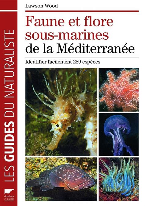 Faune Et Flore Sous Marines De La M Diterran E Ancienne Dition