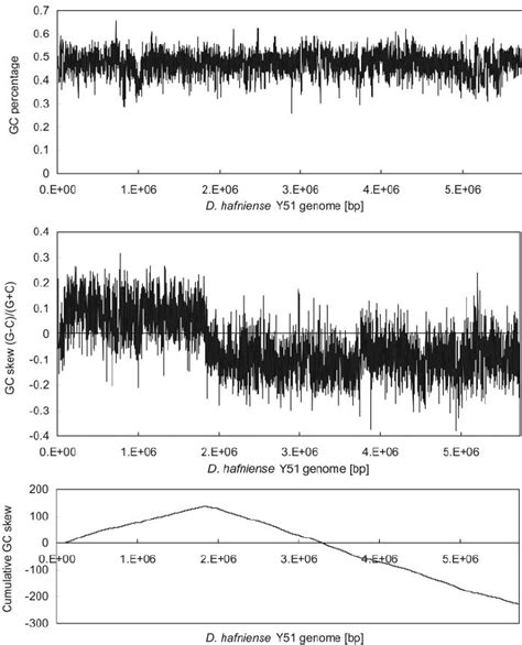 G ϩ C Content Gc Skew And Cumulative Gc Skew Of The D Hafniense Y51 Download Scientific