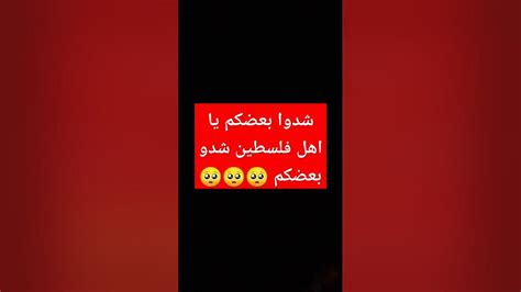 🥺يا اهل فلسطين شدوا بعضكم🥺🥺🥺🥺 Youtube